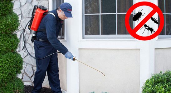 Bozyazı Bit İlaçlama böcek ilaçlama ve haşere kontrolü — ilaclama-tr.com